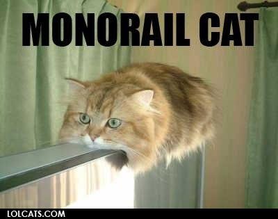 LOLCATS tweet media
