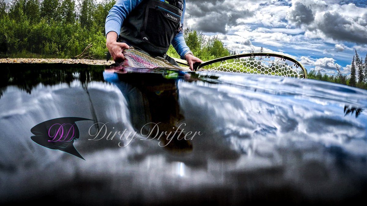 Go grow. #trout #catchandrelease #alaska #alaskalife #fishing #flyfishing #alaskafishing