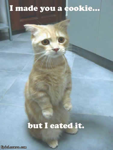 LOLCATS tweet media