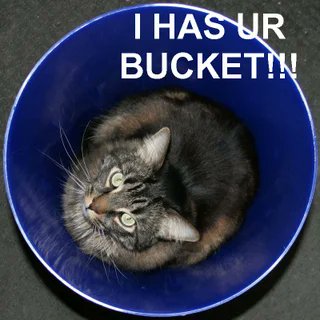 LOLCATS tweet media