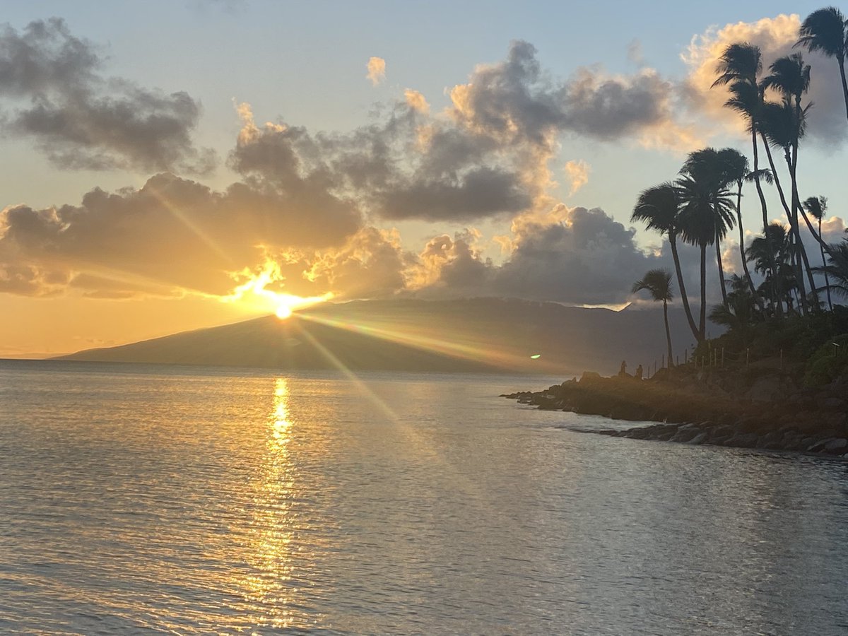 HEXTRAVELS2021's tweet photo. DAY 90: #100daysofhapiness
Watching the sunset, another day passed and new one comes #nofilter https://t.co/KjM7NEaXUV
