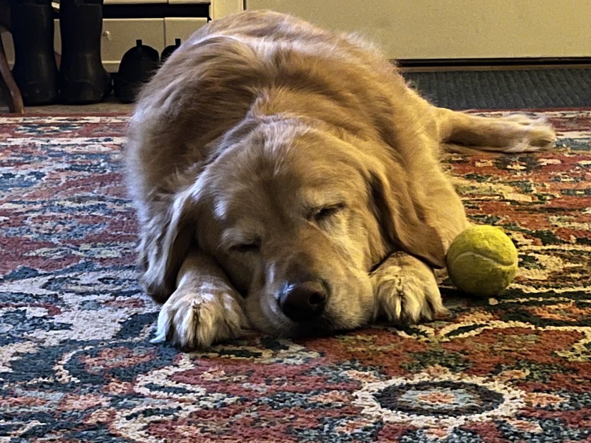 always sleepin on the job 💤