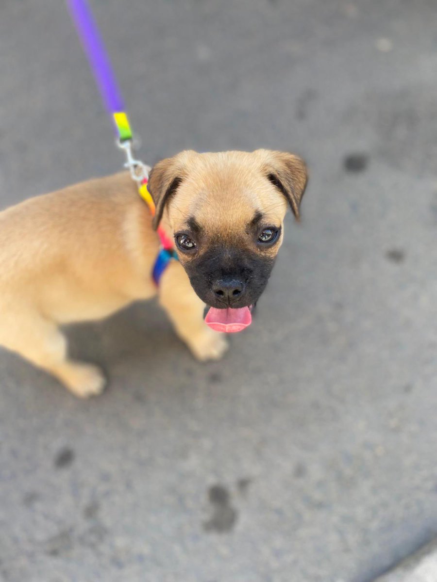 Ailemizin yeni üyesi 😂