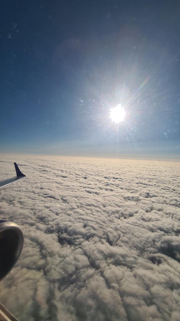 DavidvBoven's tweet photo. @SAS Thanks for the flight 👍 https://t.co/KXwpZqgU28