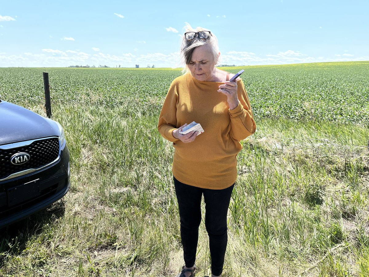 BillFortierTV's tweet image. This woman’s property was torn up by yesterday’s tornado near Didsbury. In her hand is $500 worth of gift cards from her community. All around her, around 100 volunteers have come out to help her clean up.