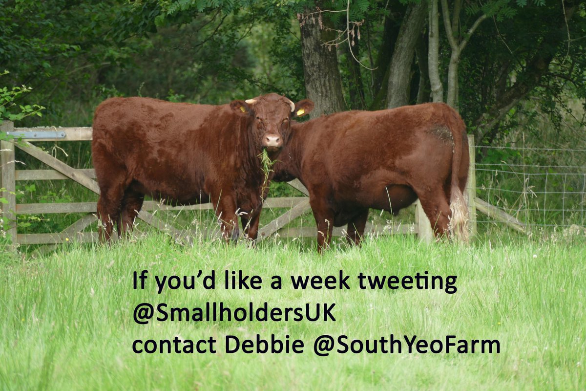If you want a week @SmallholdersUKcontact <a href="/SouthYeoFarm/">Debbie Kingsley</a>. Smallholders, homesteaders, crofters, small scale farmers, gardeners &amp; rural crafters welcome from all over the world, plus those who connect with them. It’s all about working with the land in small but important ways.