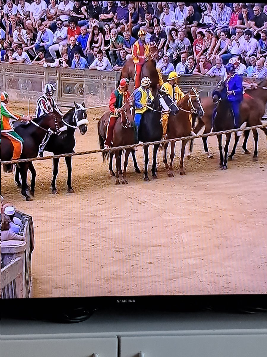 IlPattoTradito's tweet photo. Ho visto la partenza del #paliodisiena e vedere il nervosismo dei #cavalli e la tipologia dei morsi mi fa ribadire che le competizioni con #animali sono da bandire perché gli umani danno il peggio di loro e la violenza diventa tragicamente normale. Per non parlare del frustino... https://t.co/mXXr38JuEE