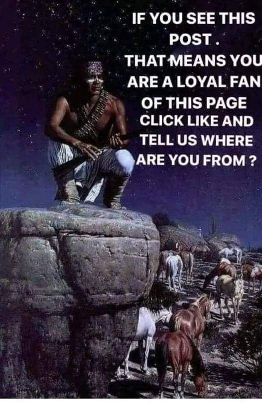 Native American Culture tweet media