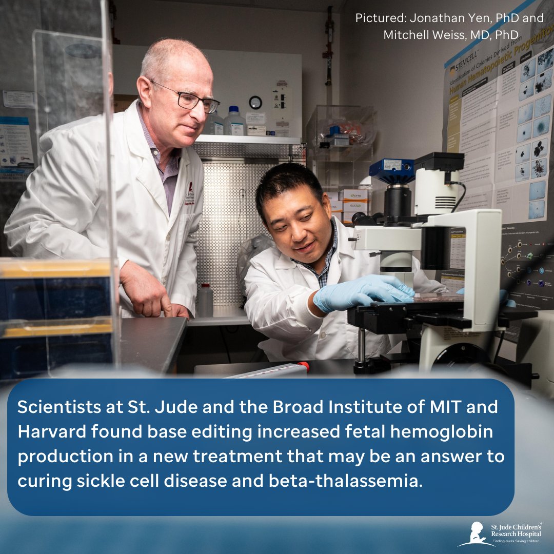 St. Jude Research (@stjuderesearch) on Twitter photo Gene therapy that alters hemoglobin genes may cure blood diseases that afflict millions of individuals. Scientists at St. Jude and <a href="/broadinstitute/">Broad Institute</a> used potentially curative base editing technology to restart fetal hemoglobin production in patient cells. bit.ly/434cpGB Gene therapy that alters hemoglobin genes may cure blood diseases that afflict millions of individuals. Scientists at St. Jude and <a href="/broadinstitute/">Broad Institute</a> used potentially curative base editing technology to restart fetal hemoglobin production in patient cells. bit.ly/434cpGB