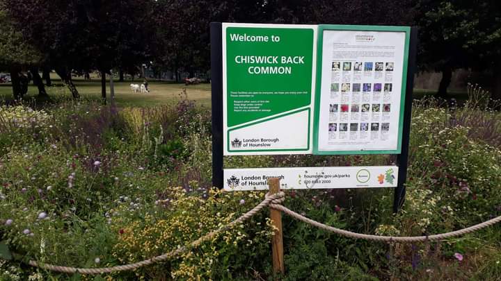 Friends of Feltham Green tweet media