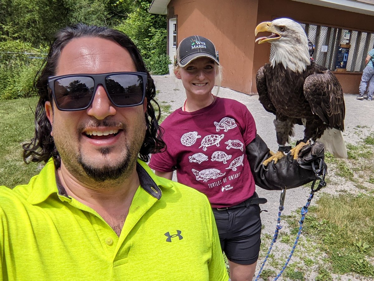 Let's Discover ON tweet media