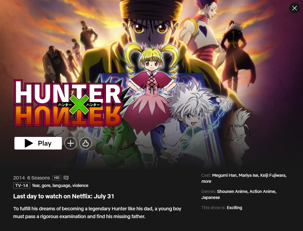 Anime Hunter x Hunter vai ser retirado do catálogo da Netflix