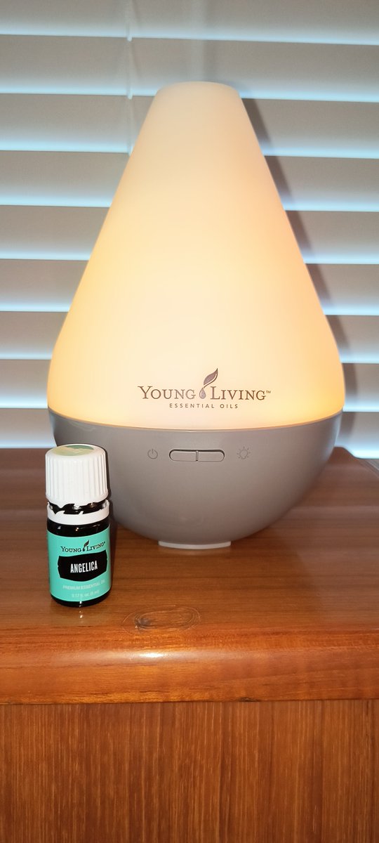 LifeEnlighten's tweet image. Angelica in the diffuser today. The oil of angels. The oil of inner peace. The oil of liver support. And mucn more!
myyl.com/jennifermariee…
#angelicaessentialoil #essentialoildiffuser #essentialoils