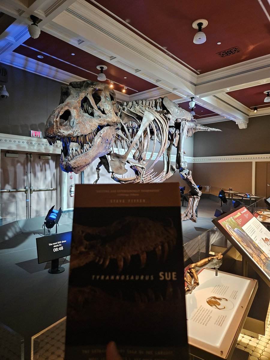 bemusedtreefrog's tweet photo. .@SUEtheTrex It was so nice meeting you at @RoyalBCMuseum. https://t.co/qRB8x2p7SG