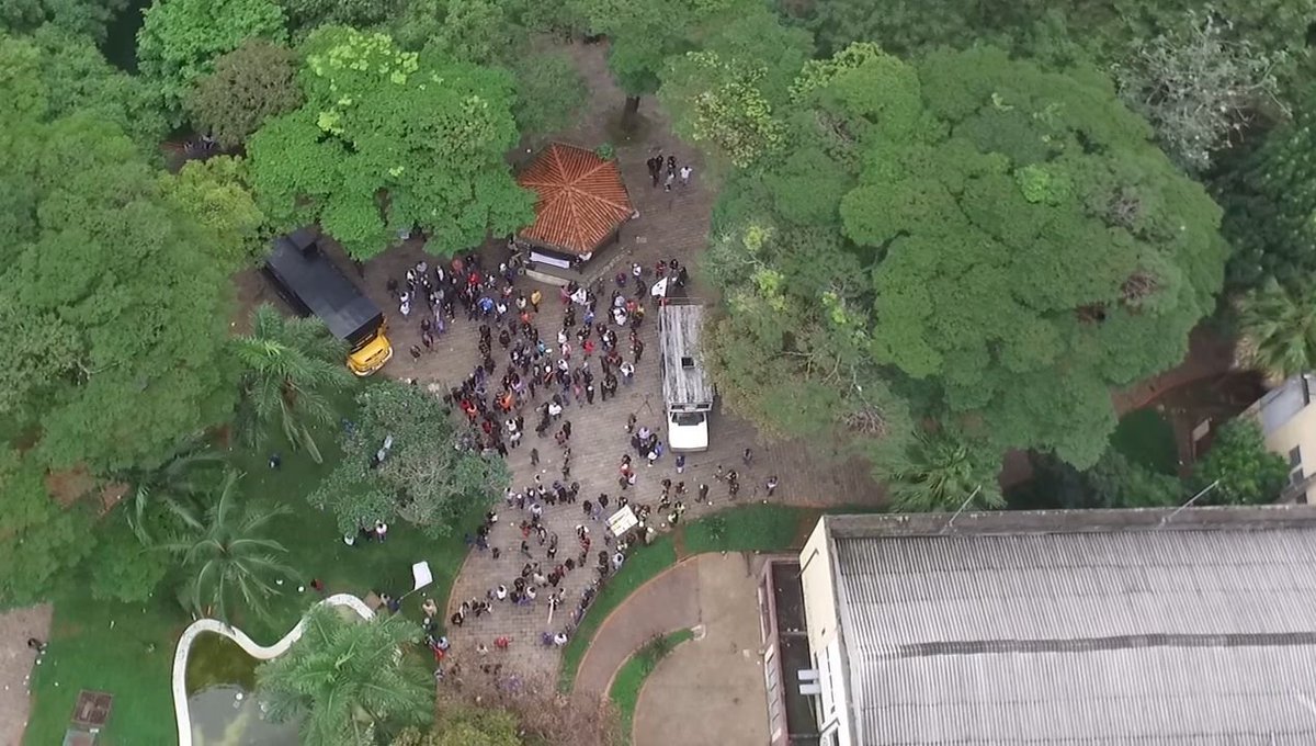 sem paciência tweet media