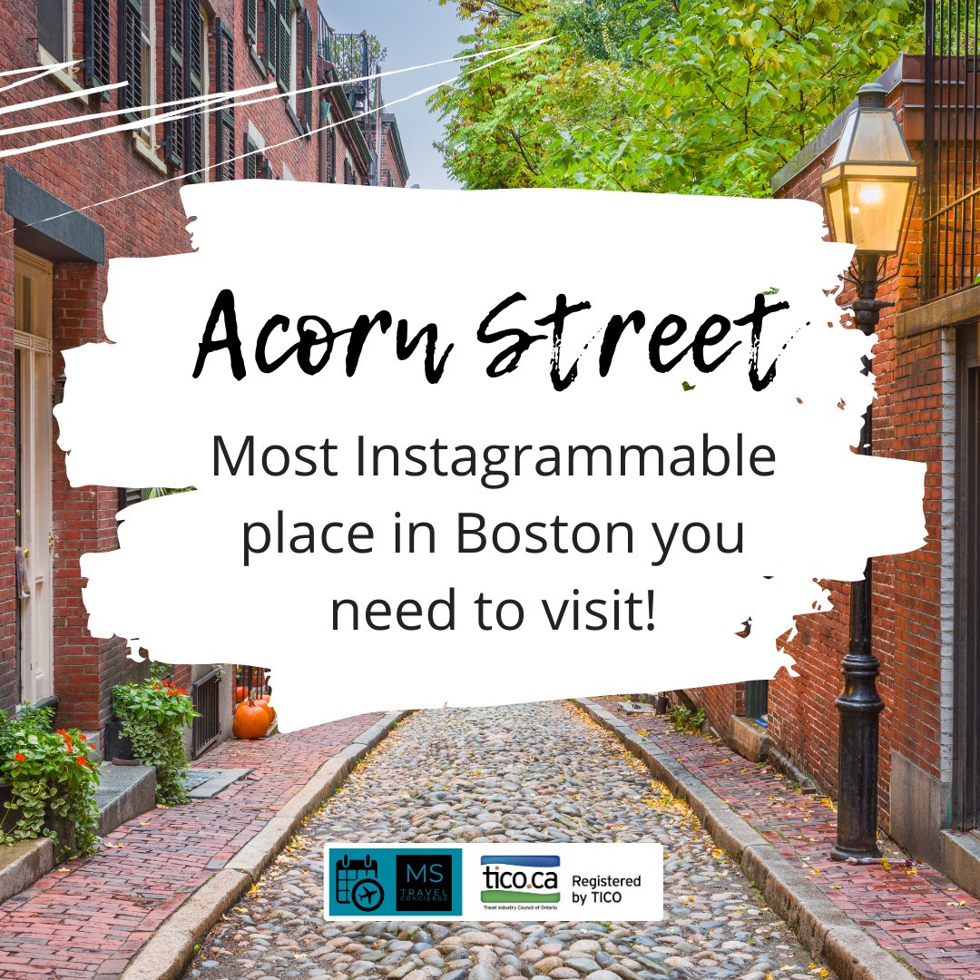 Picture-perfect charm: Step into the postcard-worthy beauty of Acorn street, one of Boston's most instagrammable places.

#acornstreet #bostoninstagrammable #bostoncharm #instaworthyplaces #bostonmustvisit #pictureperfectbeauty #bostonphotography #bostonadventures