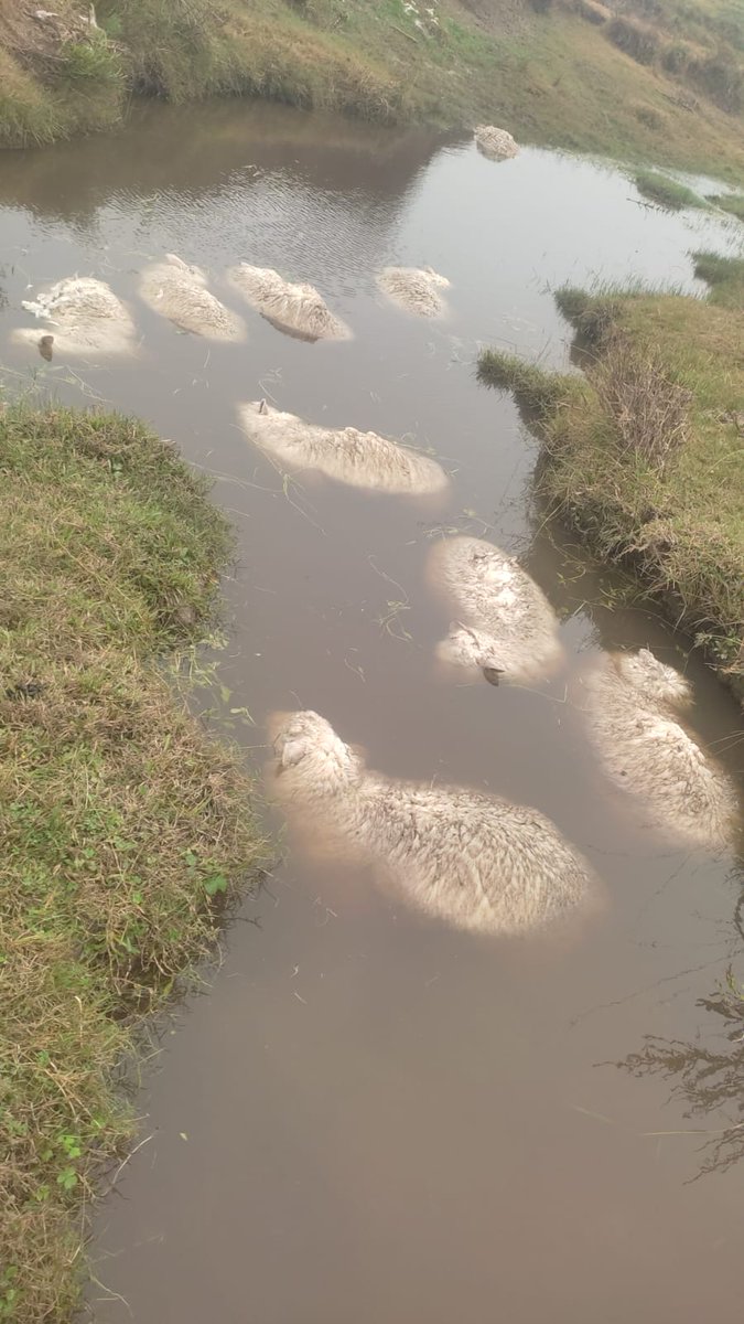 Panorama desolador,  el tema sigue, lastima.