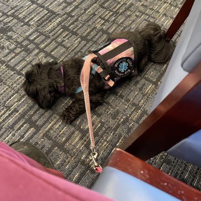 #NewProfilePic fur July. It #DisabilityPrideMonth so dis me at work in de dogtor waiting room wif momma. #ServiceDog