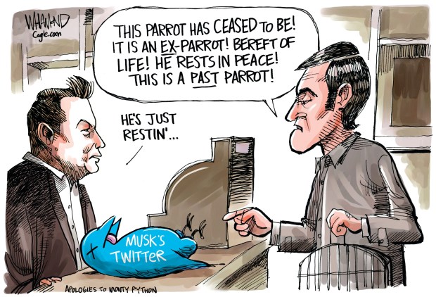ablueview's tweet photo. Elon Musk continues to destroy Twitter with his inane, rash, product development decisions
π§΅2/3 #PoorProductManagement #PoorLeadership #Oligarchs #Twitter #TaxTheRich #ABlueView https://t.co/XwxskuWJ7y