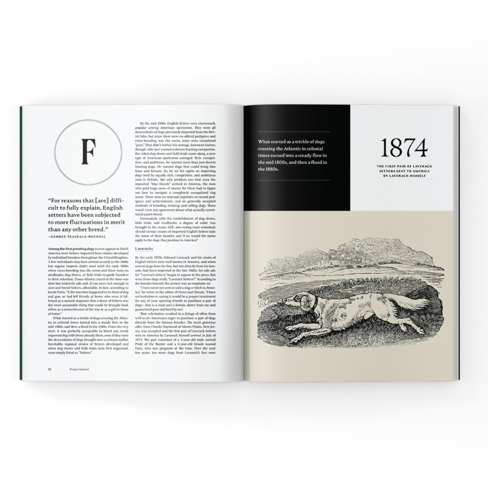 Project_Upland's tweet image. Get a FREE Issue + FREE Shipping - mailchi.mp/bf1f34cadefa/p…