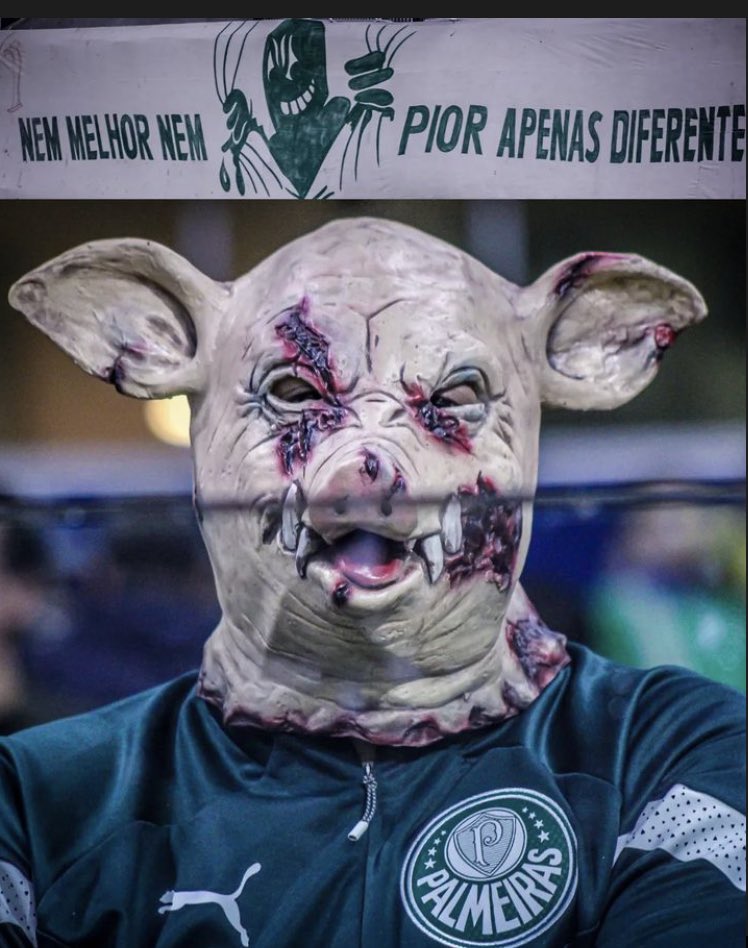 picmeiras's tweet photo. SOMOS PORCO MUITO LOUCO 🐷 https://t.co/9qJiXUlya2