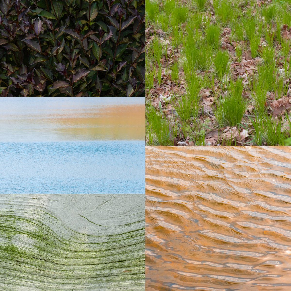 adrian_handzel's tweet photo. A few new works that I was able to edit yesterday.

Which one is your favorite if any? https://t.co/dtq3efkEgw