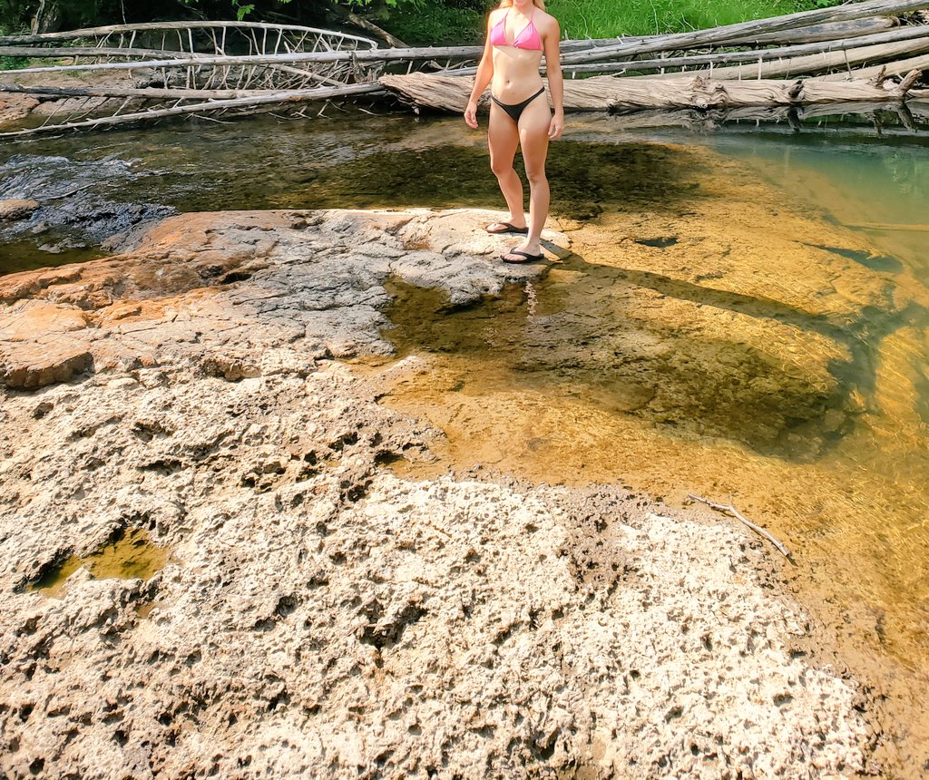 farmhoe6969's tweet photo. Bikini babe! 

Who's down for some fun by the river? 😉
#Waterbabe #bikinibabe #River #nature #hornygirl https://t.co/mJvE1UPoa9