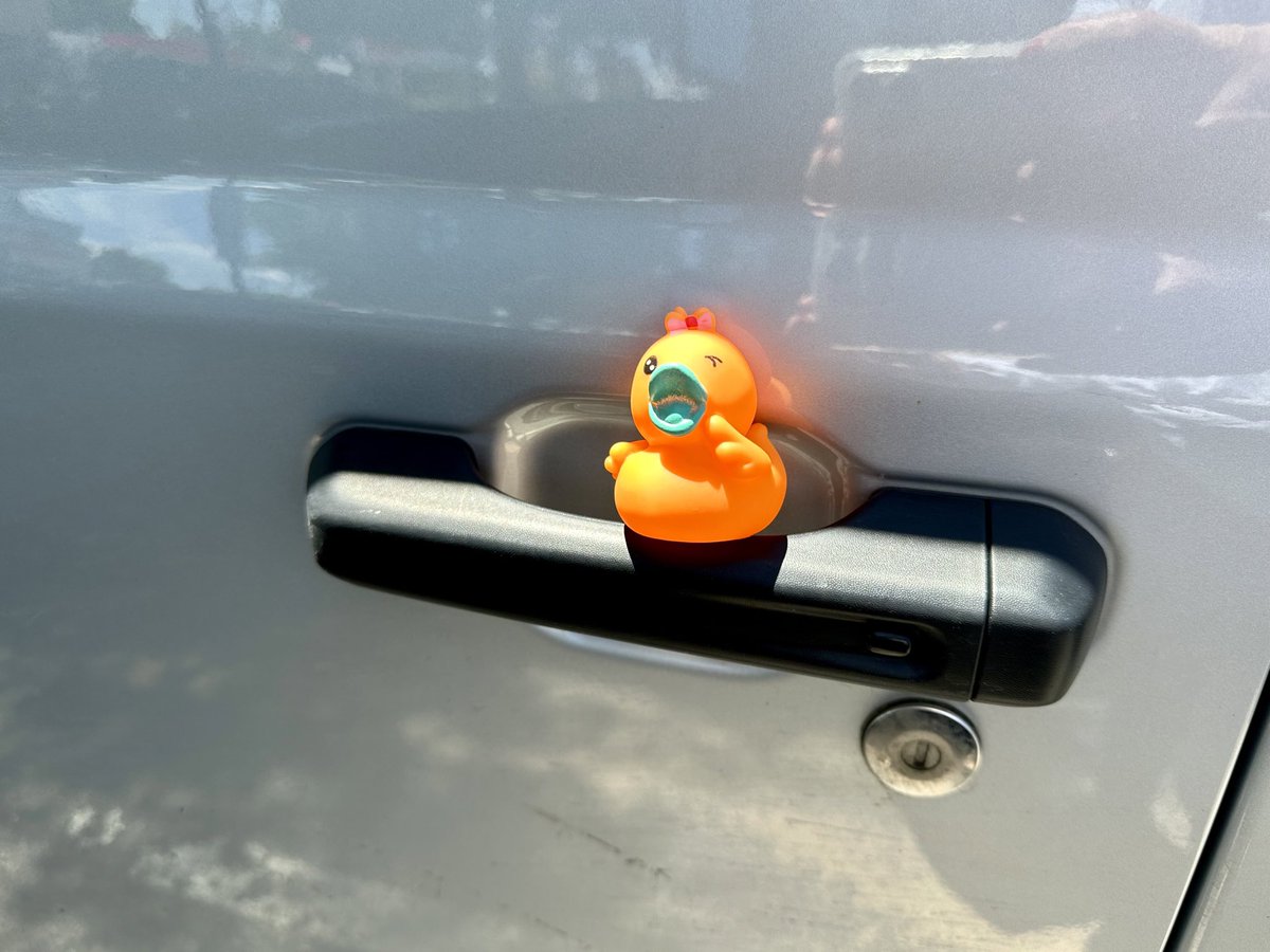 CaitlinLong_'s tweet image. #ducked
#ItsAJeepThing