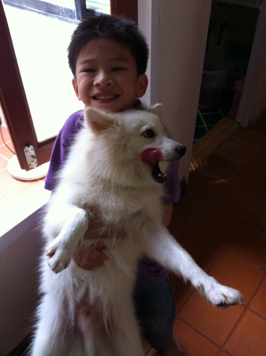 thaichayanon's tweet photo. ผมโชคดีครับ🐶 (ชื่อน้องหมา) https://t.co/AjFYk9GcLT
