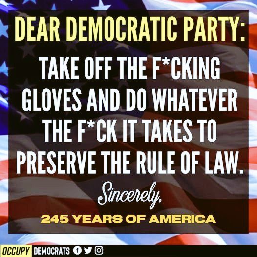 I’ll admit I’ve always been a people pleaser, which probably means I’m too nice at times. I was all about “When they go low, we go high”.  But even I agree it’s time to take off the f*cking gloves‼️#DemVoice1 #ProudBlue