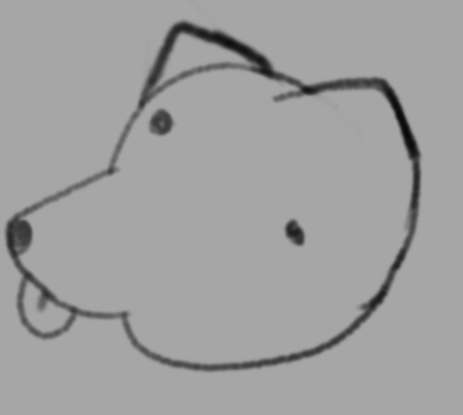 Perro tont0✅ (si dan rt el perro se hace aún más tont0!!) 🔄