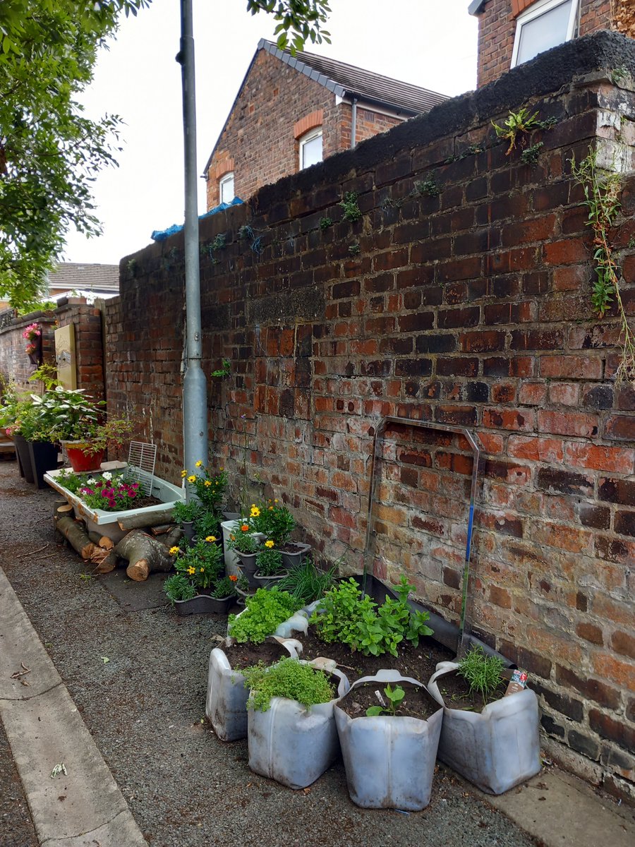 Upping It! tweet media