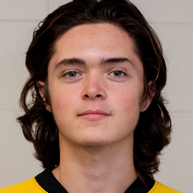 Siskinshockey's tweet photo. Congratulations to former @KWSiskins Ayden Adamic on committing to @CalvinHockey for the upcoming season. He joins previous Siskins @krzysztofp011 and @VanDusenKyle @519sportsonline @HockeyEquality @Michael97499376 @StuMunrue https://t.co/TSQvcdPYgh