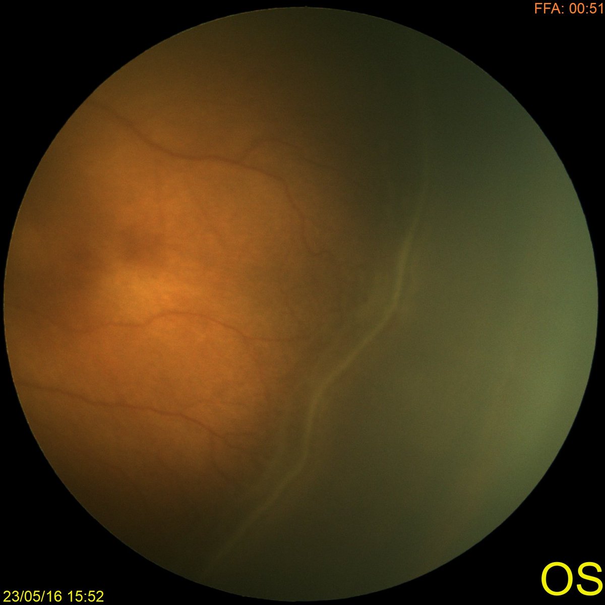 Damien Yeo tweet media