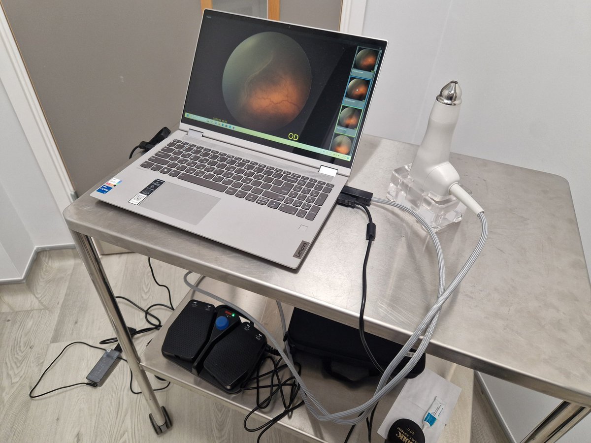 Damien Yeo tweet media