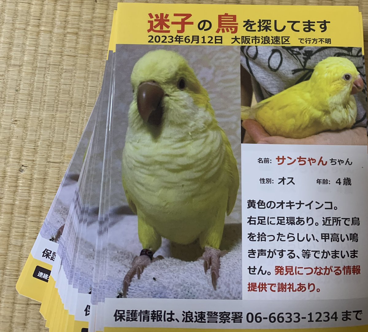 鳥好きっ！ F0DvREpaYAUBWfI.jpg?format=jpg