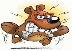 JoFoulaM's tweet photo. Week-end chargé ! Émotionnellement !😒😱😔 Bonne Nuit à vous tous !!! De grosses bises !!! 😘😘 https://t.co/ZlhJ7uoUh4