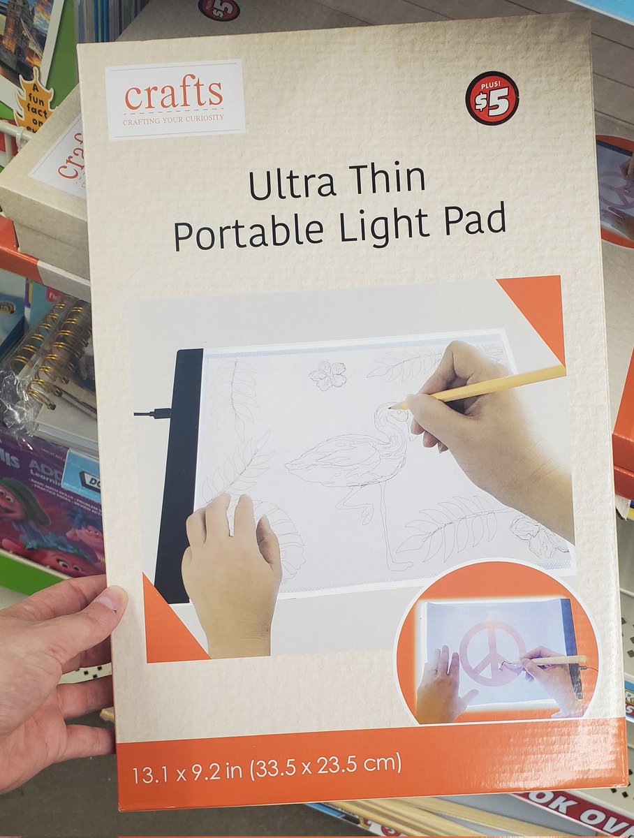 Angie Manfredi tweet media