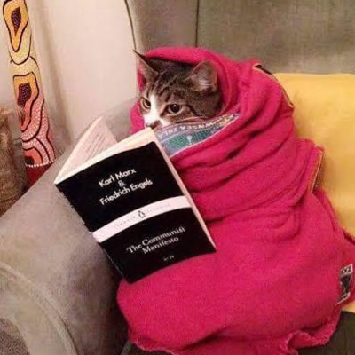 yasosua's tweet photo. #NewProfilePic fotoğraftaki ünlüyü bulunuz https://t.co/hwR4LaN90U