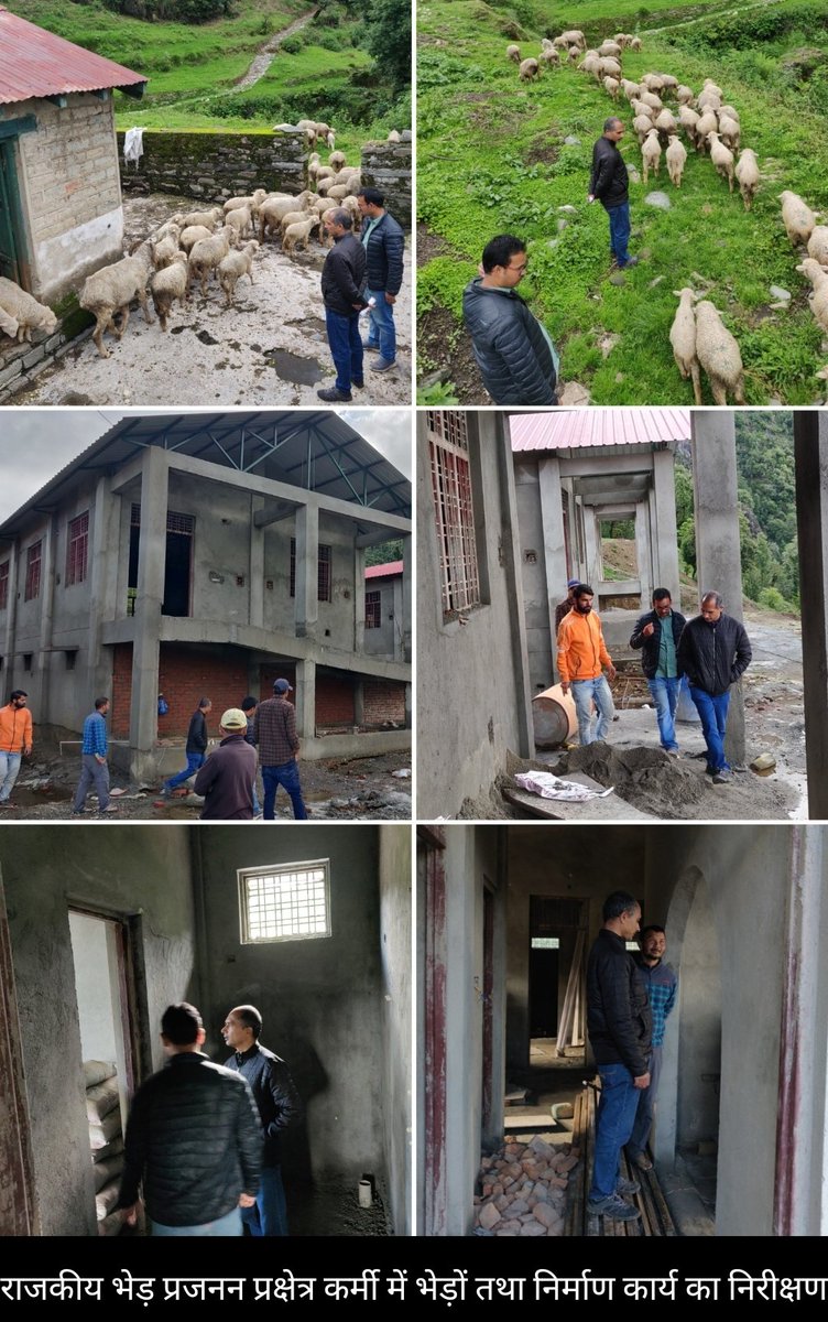 DCVOBgr's tweet photo. दि.02.07.23 को राजकीय भेड़ प्रजनन प्रक्षेत्र, कर्मी का भ्रमण कर मुख्यमंत्री RKVY योजनांतर्गत निर्माणाधीन भवनों की प्रगति तथा प्रक्षेत्र अंतर्गत भेड़ों की स्थिति का निरीक्षण करते हुए प्रक्षेत्र प्रभारी तथा निर्माण संस्था के पर्यवेक्षक को आवश्यक दिशा निर्देश दिए गए।
@DrBcKarnatak https://t.co/IR63xtLEBP