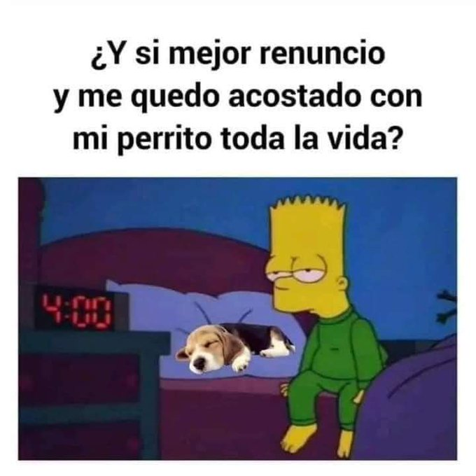 Ya es Lunes otra vez 😐

#FelizLunes <a href="/FundacionToby/">Fundación Toby</a>