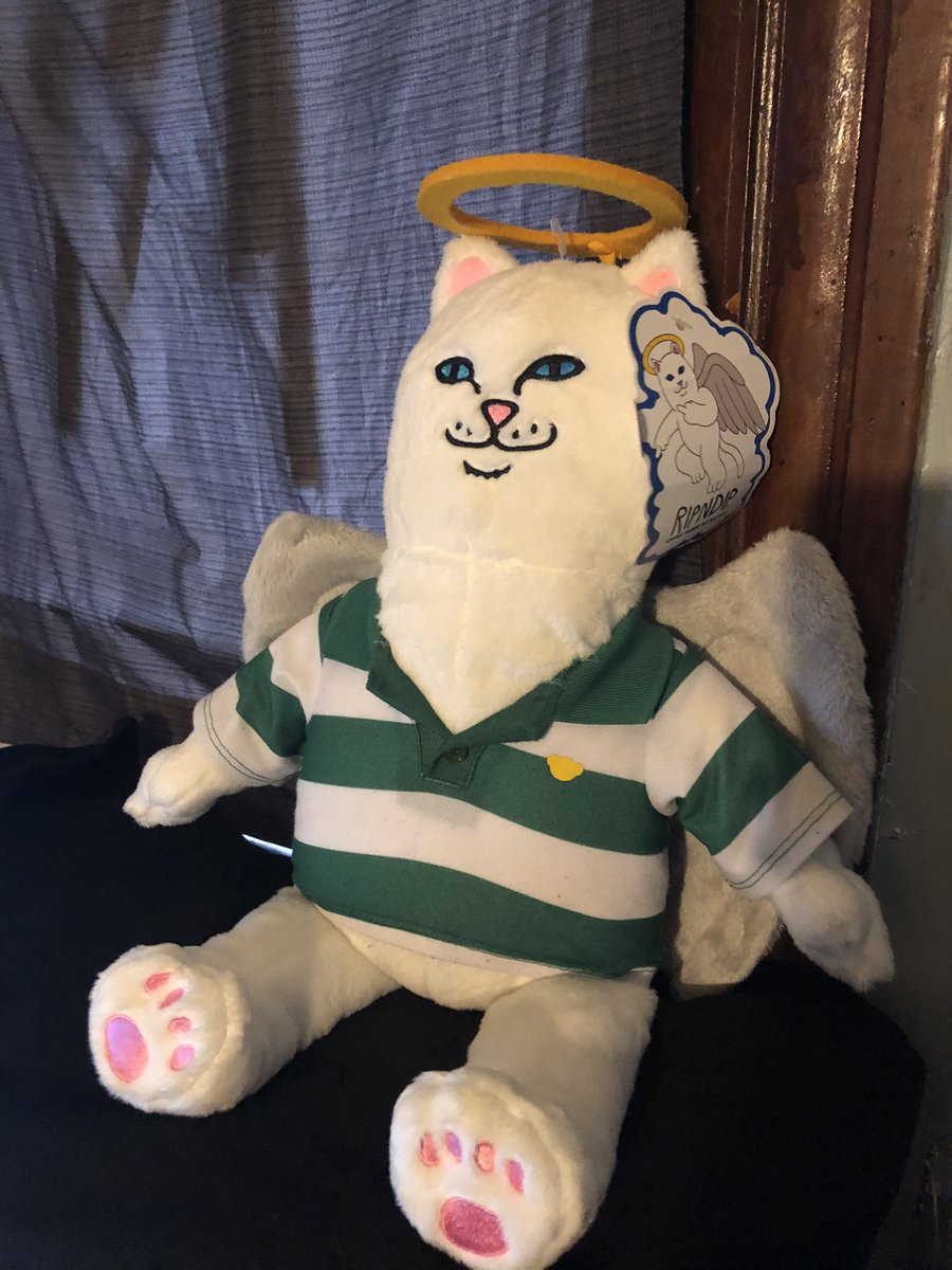 RIPNDIP tweet picture