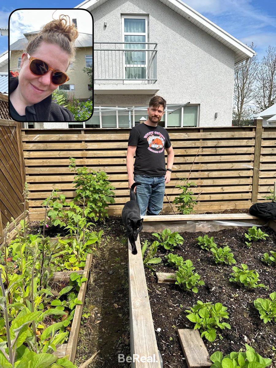 Þorbjörg Snorrad tweet media