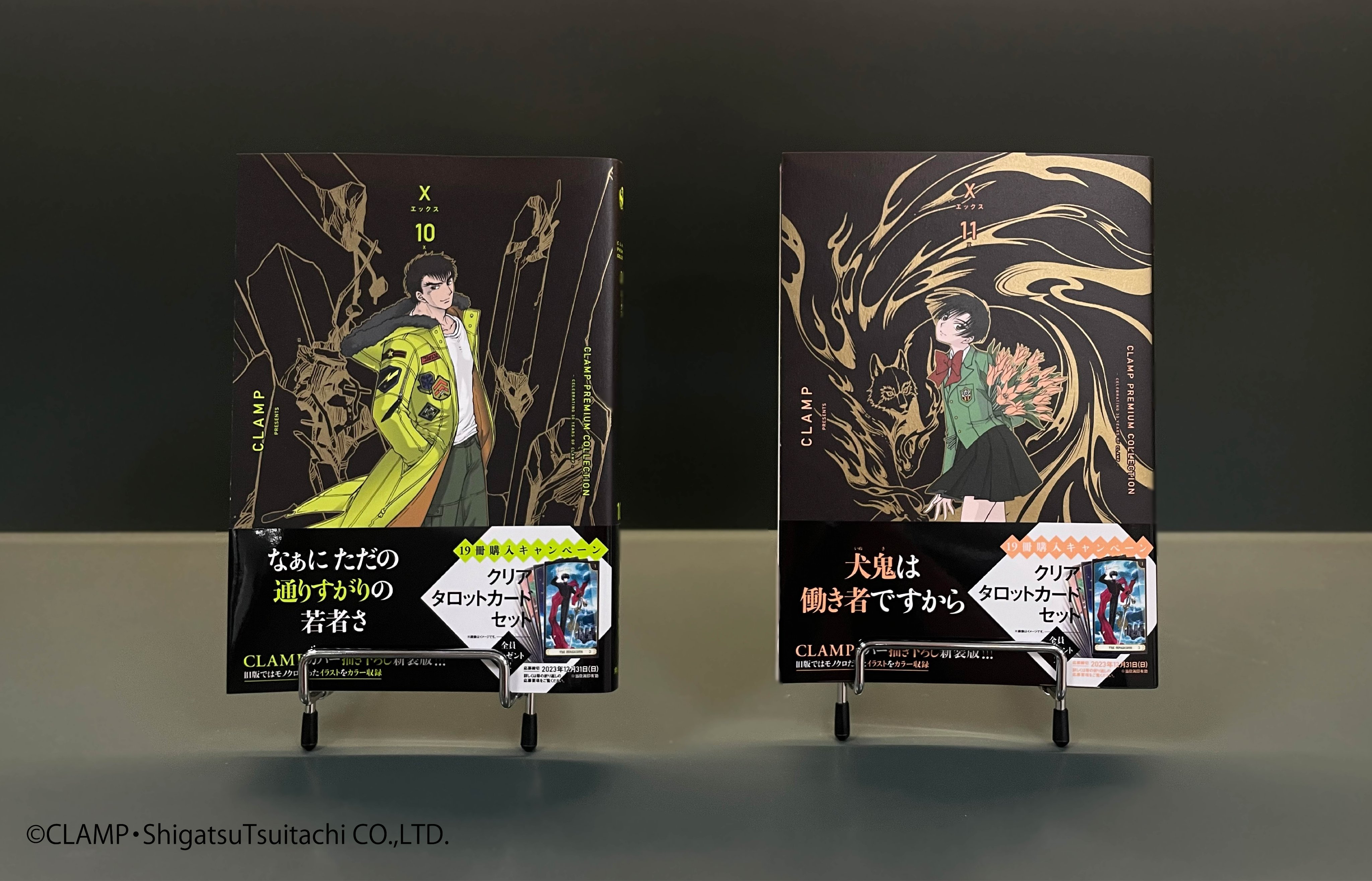 CLAMPタロットカードセット 19枚 CLAMP作品新装版シリーズ『CLAMP PREMIUM COLLECTION X』1〜18.5