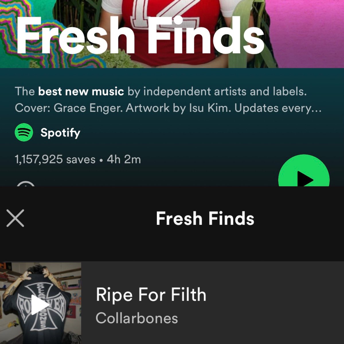 Collarbones tweet media