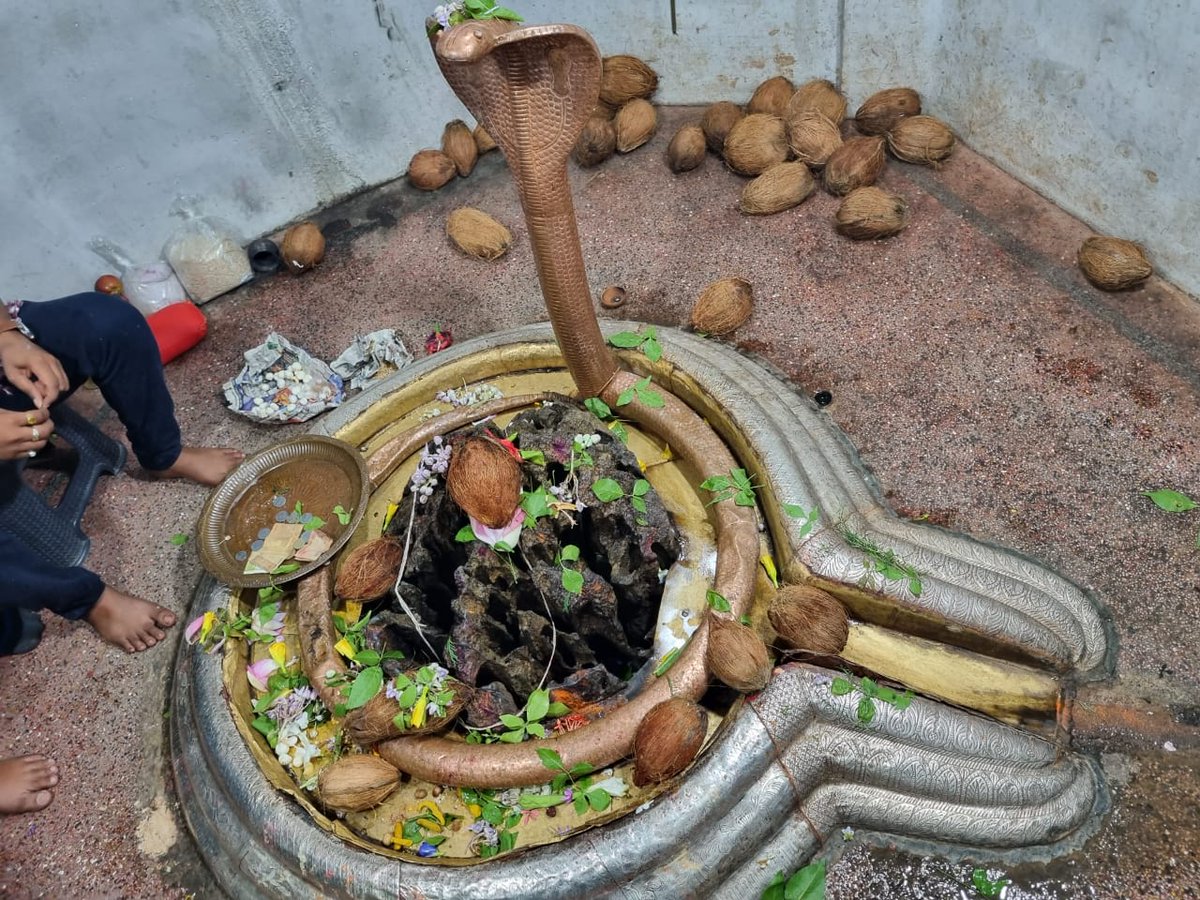 20Bhupesh's tweet photo. हर हर महादेव लक्ष्मणेश्वर मंदिर
खरौद https://t.co/pDVOJWO7Yw