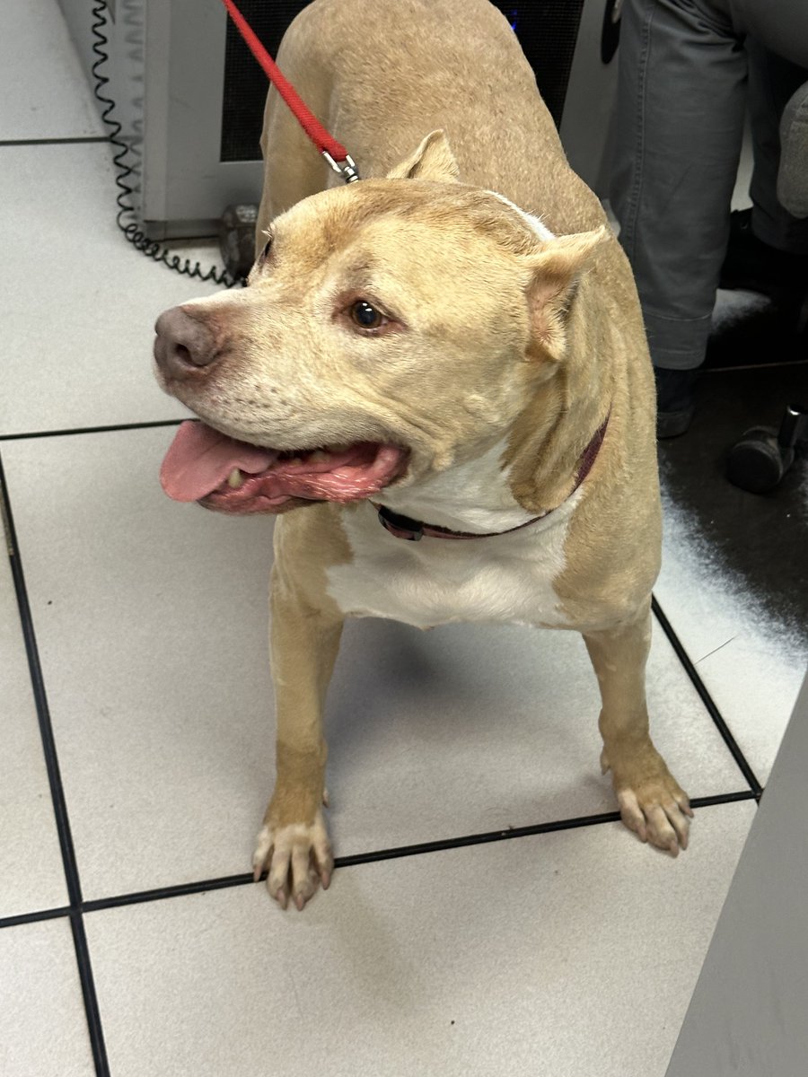 Mount Olive Police tweet media