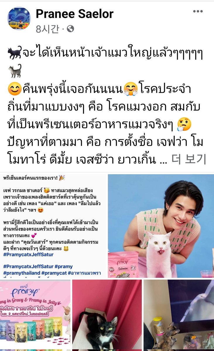 BokNamJeff_1016's tweet image. 왜이리도 귀여우신지 😆
가족 모두가 귀요미 종합셋트 

#JeffSatur 
#pramycat #pram #pramycatxjeffsatur 
#อาหารแมวพราอร่อยทุกค่าตอบโจทย์ทุกซอง