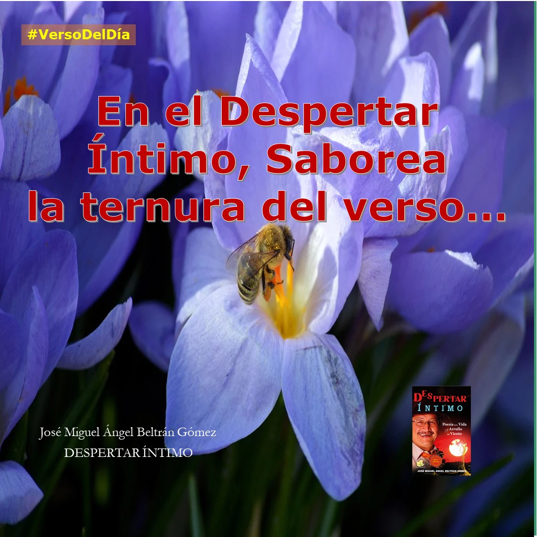 J Miguel A Beltran G tweet media