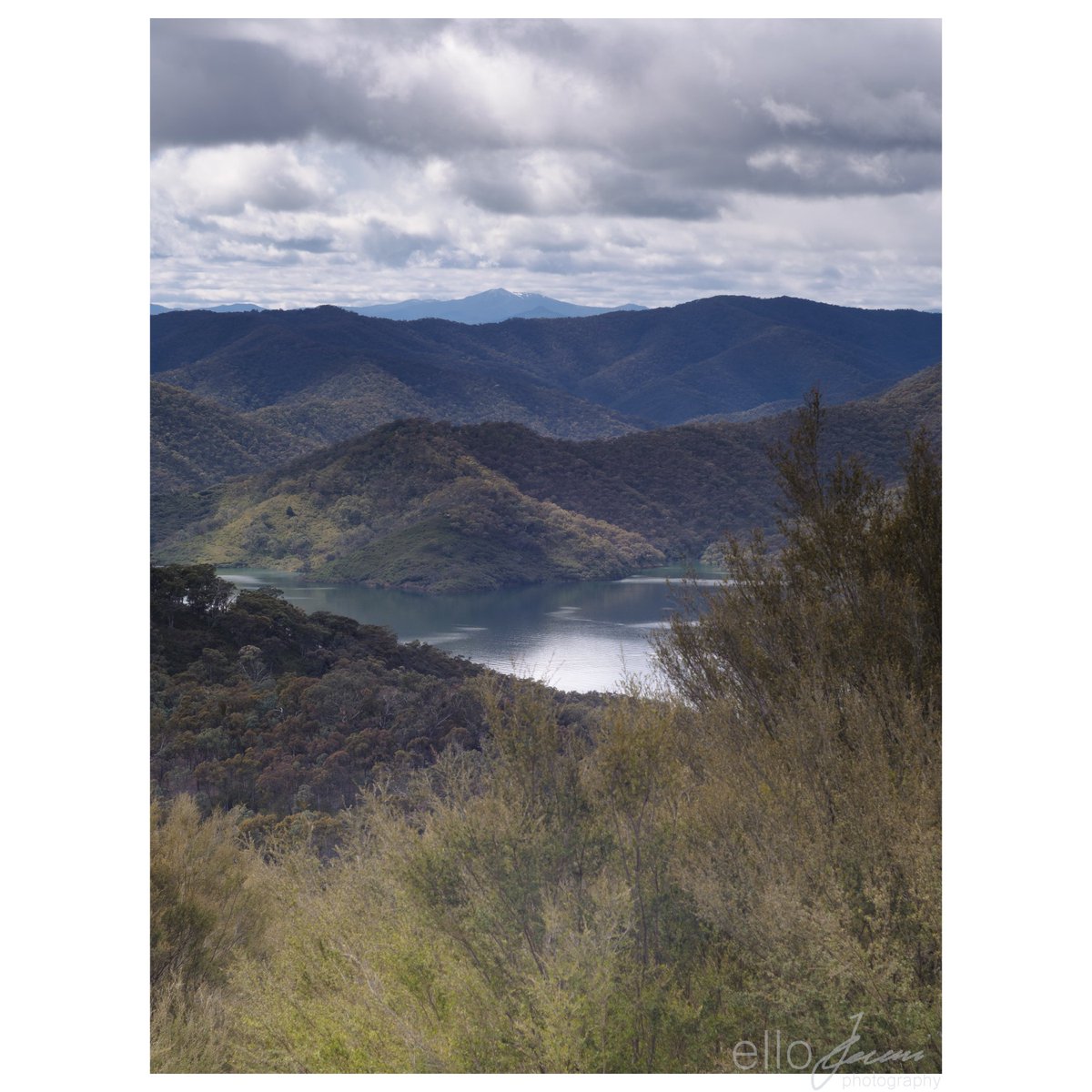 ellojamie's tweet photo. 13/40

Been a busy couple of weeks, but have some exciting images in the backlog to hopefully share!

#ShareMondays #photography #nature #hikingadventures https://t.co/tE0gzPlkMv